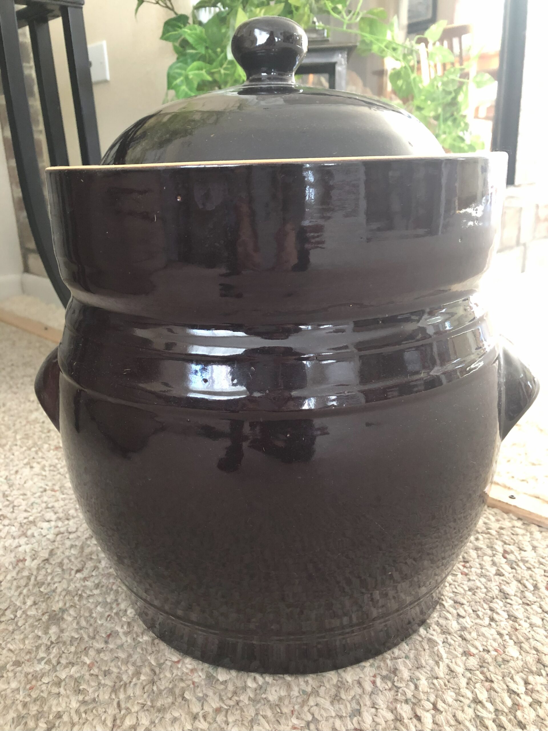 Fermentation Pot.